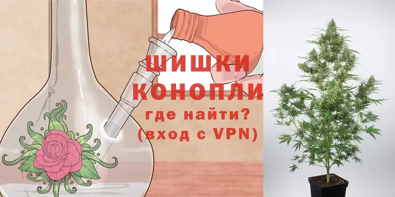 купить закладку  Кущёвская  Шишки марихуана SATIVA & INDICA 